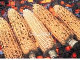 烤玉米機木炭型/自動旋轉烤玉米機/烘烤機/台灣製造